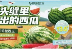 热门大瓜每日大赛,揭秘娱乐圈风云变幻，大赛精彩瞬间回顾