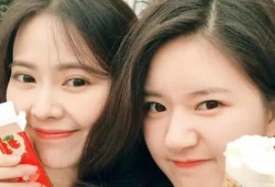 社会热点话题2025 赵露思否认整容,2025年娱乐圈热点事件回顾